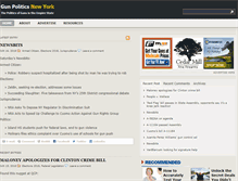 Tablet Screenshot of gunpoliticsny.com